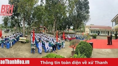 Gestión y protección forestal sostenible asociada al desarrollo económico forestal en Nhu Xuan