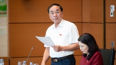 Thừa nhận nguyên tắc đa quốc tịch phù hợp với xu thế hội nhập quốc tế
