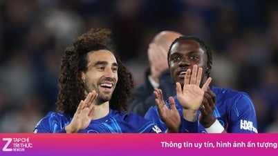 Course au top 5 de la Premier League