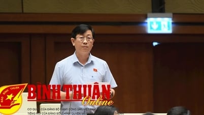 Delegado Nguyen Huu Thong: Es necesario agregar regulaciones sobre el intercambio de datos y la transparencia en la responsabilidad de gestionar la calidad del producto.
