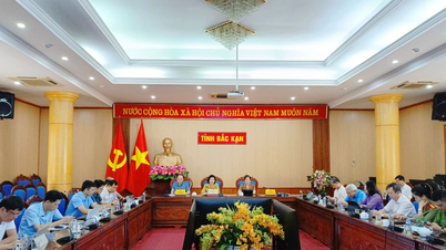 ដាក់ពង្រាយដំណោះស្រាយយ៉ាងម៉ឺងម៉ាត់លើការអភិវឌ្ឍន៍វិទ្យាសាស្ត្រ និងបច្ចេកវិទ្យា ការច្នៃប្រឌិត ការផ្លាស់ប្តូរឌីជីថល និងគម្រោង ០៦