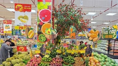 商工省はセントラルグループとセントラルリテールと協力し、ベトナム製品の販売促進に努める。