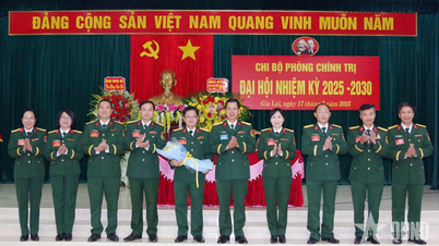 អង្គភាពទី១៥៖ កសាងក្រឡាបក្ស នាយកដ្ឋាននយោបាយស្អាត និងរឹងមាំ
