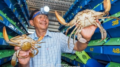 Tỷ phú nông dân