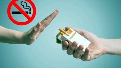 Proposition visant à élargir les sources de revenus du Fonds de prévention des méfaits du tabac