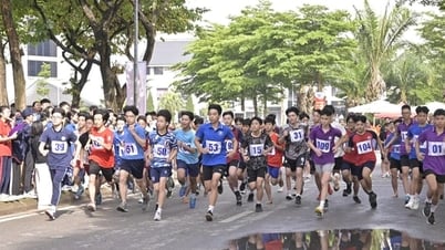 Gần 1.000 VĐV tham gia chung kết Giải chạy Báo Hànộimới lần thứ 50 quận Nam Từ Liêm