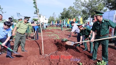 ឡុកនិញ៖ ដាំដើមឈើ 'ដឹងគុណពូហូ' ជារៀងរហូតក្នុងឆ្នាំ ២០២៥