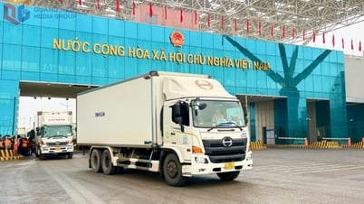 Duy trì tốc độ thu ngân sách trong quá trình sắp xếp đơn vị hành chính
