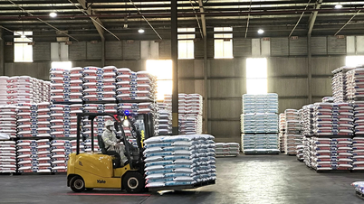Hiệp định Tránh đánh thuế 2 lần giữa Việt Nam và Hoa Kỳ: Chờ tín hiệu tích cực từ đàm phán