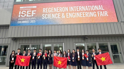 Học sinh Việt Nam nhận thêm một giải Đặc biệt tại Regeneron ISEF 2025