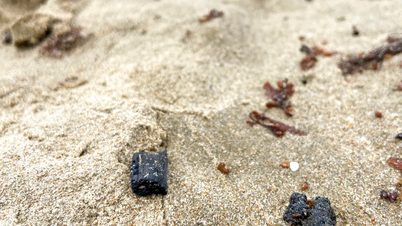 Trouver la cause des amas de pétrole échoués sur la plage de Nha Trang