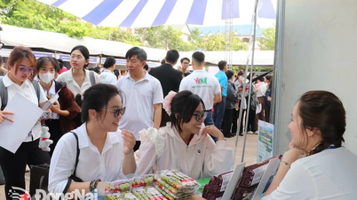 Hơn 2,4 ngàn cơ hội việc làm tại Ngày hội việc làm Trường đại học Lạc Hồng