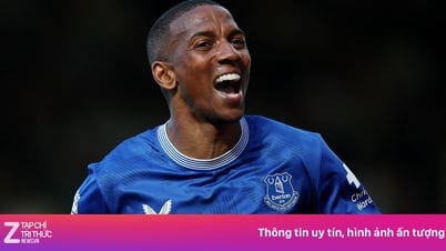 Ashley Young sắp thất nghiệp ở tuổi 39