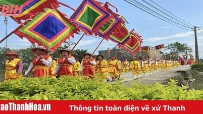 고국의 문화적, 역사적 흐름을 따라가다