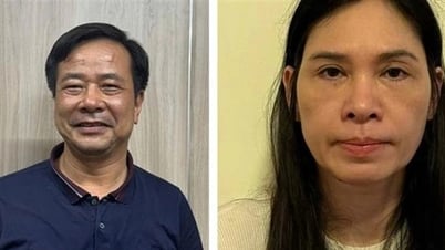 Révélation sur la société Hoang Long dont le président et son épouse viennent d'être poursuivis