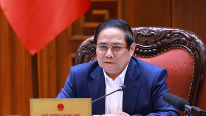Hoàn thiện dự thảo 2 Nghị quyết của Bộ Chính trị về đột phá y tế, giáo dục