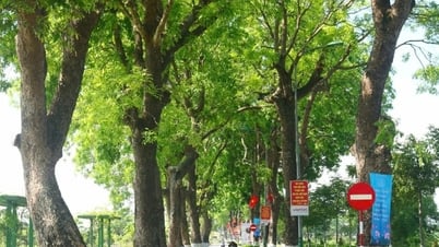 Thời tiết Nghệ An ngày 17/5: Chiều và đêm có mưa rào và dông rải rác