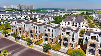 Đồng Nai cho nhà đầu tư đăng ký thực hiện dự án nhà ở thương mại thông qua nhận chuyển nhượng đất đến ngày 30-5