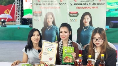 Promotion du commerce électronique des produits OCOP à Quang Nam