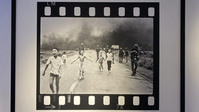 Временно прекратить указывать автора фотографии "Napalm Girl"
