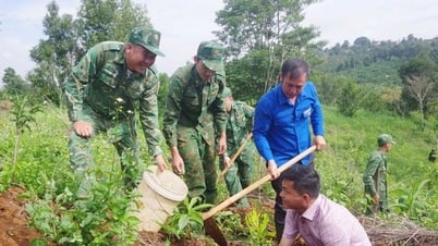 닥농 국경지역 주민들에게 묘목 1만그루 기증 및 번식용 소 기증
