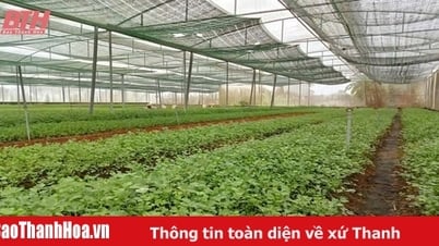 暑い季節には積極的に水をやり、節水しましょう