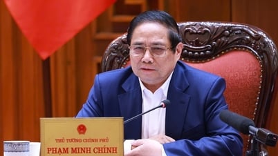 Премьер-министр: найти прорывы в разработке двух резолюций Политбюро по вопросам образования, обучения и общественного здравоохранения