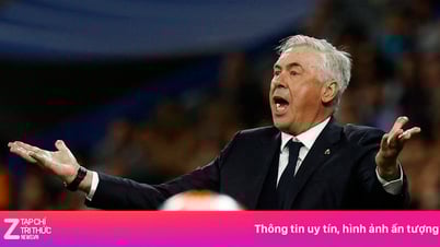 أنشيلوتي يضمن مقعده في المنتخب البرازيلي