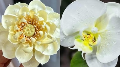 Chàng trai nặn hoa từ kem tươi, dân mạng 'không tin được' vì nhìn như thật