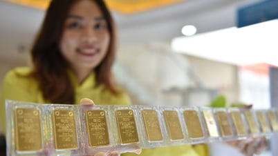 Gold price today (May 17): Domestic gold price increases