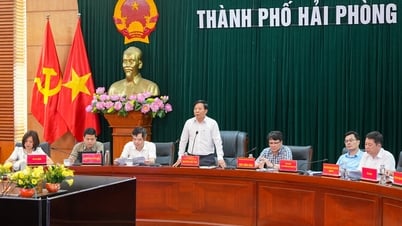 มุ่งเน้นการจัดทำใบสมัครขอรับการรับรองเมืองไฮฟองที่กำลังก่อสร้างเขตชนบทใหม่