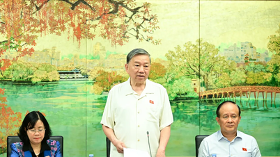 事務総長から林鄭月娥へ：法律は特定の集団に奉仕するために制定されるのではなく、全国民のために制定される。