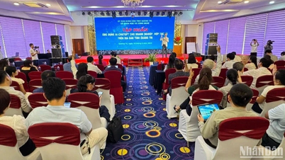Quang Tri: AI application training for 800 businesses and cooperatives