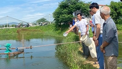 Tập huấn hiện trường kỹ thuật nuôi cá ngạnh thương phẩm