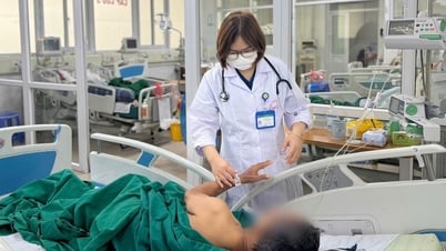 곰팡이균으로 인한 위험한 수막염