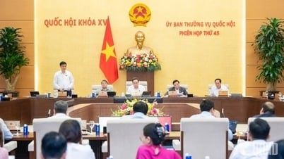 ការពិភាក្សារកដំណោះស្រាយដើម្បីពង្រឹងសក្តានុពលសេដ្ឋកិច្ចឯកជន
