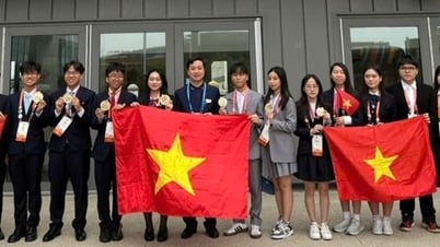 Estudiantes vietnamitas ganaron 10 premios en el Concurso Internacional de Ciencia y Tecnología