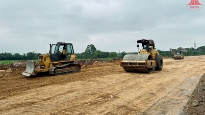 DT.310高架橋の建設進捗状況を確認する
