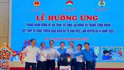 1.983 chỉ tiêu tại Phiên giao dịch và tư vấn việc làm huyện Ba Vì
