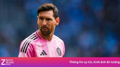 Les équipes d'Argentine et d'Espagne se rencontrent pour concourir