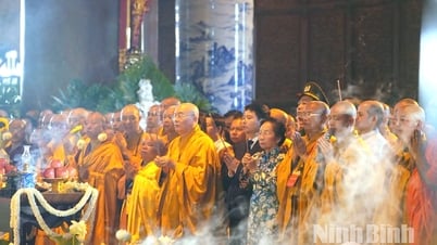 Procession of Buddha's relics to Tam Chuc Pagoda