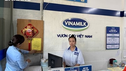 Hơn 160 cơ sở ký cam kết kinh doanh sữa đúng quy định pháp luật