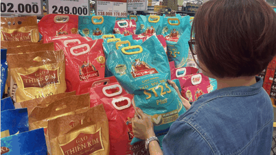 Businesses excited as rice export prices increase again