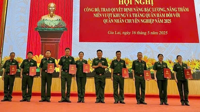 2025年に職業軍人153名の給与増加と軍階級昇進を決定