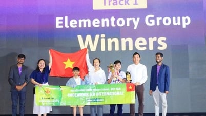 Estudiantes de primaria de Ciudad Ho Chi Minh ganaron el primer premio en un concurso internacional de programación