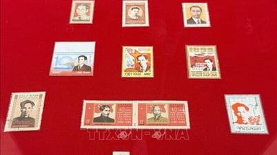 Trưng bày tem và bưu ảnh về Chủ tịch Hồ Chí Minh