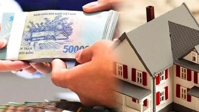 投資家のキャッシュフローがマイナスに陥り、利息が積み上がると警告