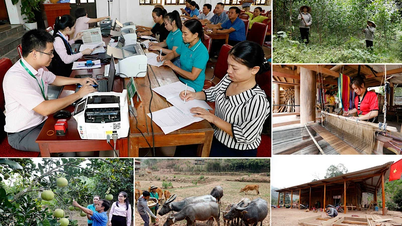 Phát huy tín dụng chính sách hỗ trợ Nghệ An bứt phá, vươn mình