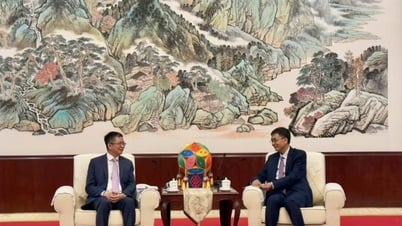 Làm sâu sắc hơn nữa hợp tác giữa Quảng Tây (Trung Quốc) với các địa phương Việt Nam