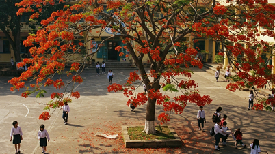 Viết cho loài ve